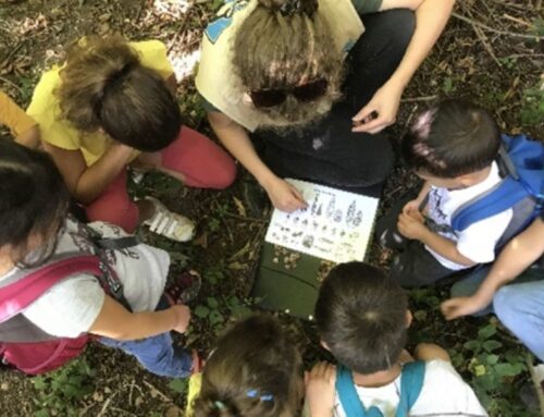 Concertation et rédaction du plan de sensibilisation montagne d&rsquo;âge Mandallaz Bornachon