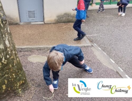 Projet de désimperméabilisation et d’extension de la cour d’école